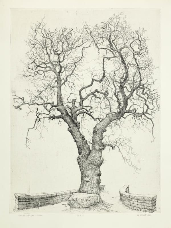 Ian Westacott Oak and Judge's Stone, Culloden, 2024 Soft and hard ground etching on copper plate Unframed: 66 x 50 cm Framed: 86 x 70 x 3 cm Edition of 20