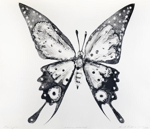 Stuart MacKenzie RSA Species Morphology: Butterfly 3, 2021 Oil on paper 30 x 35 cm