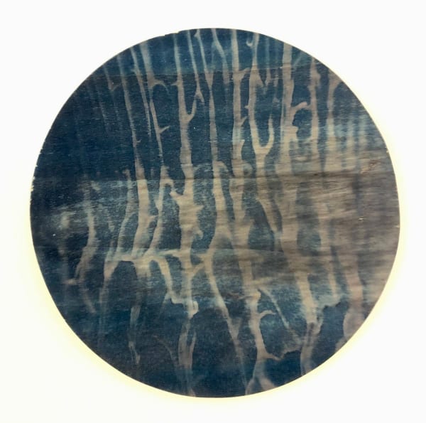 Ella Josephine Campbell Myco-Cirrostratus (Undulatus), 2023 Cyanotype on poplar plywood