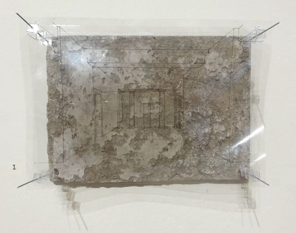 Amy Harrison, Untitled #1