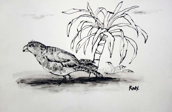 Jack Knox RSA Bird and Plant Ink on paper 30 x 43 cm
