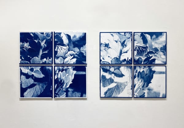 Leena Nammari RSA (Elect) From sacred ground l Negative and positive cyanotype Diptych 85 x 41 cm Edition of 3