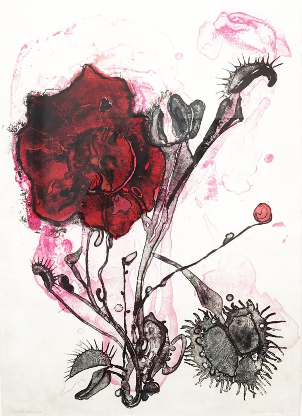 Elspeth Lamb RSA, Black Venus