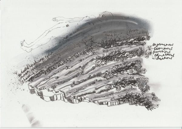 Tracy Mackenna RSA Living with Lichen / Vivo con il Lichene, 2024 Watercolour, pastel on watercolour paper 28 x 37 x 3 cm