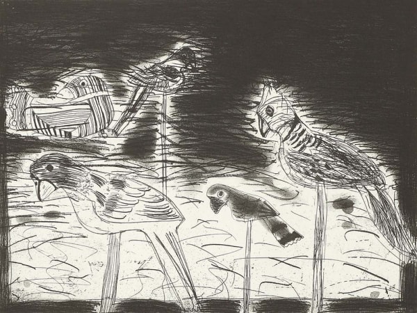 Elizabeth Blackadder RSA Parrots, 1987 Etching and aquatint 23 x 30 cm Edition of 50