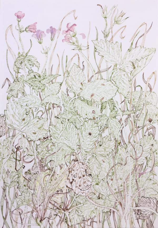 Jane Hyslop RSA December Collection I, Midlothian, 2020 Gouache and watercolour on paper 32.5 x 22.5 cm