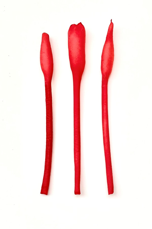 Jacki Parry RSA ways of editing: red plants 1 Cast handmade paper 38 x 48 x 7 cm