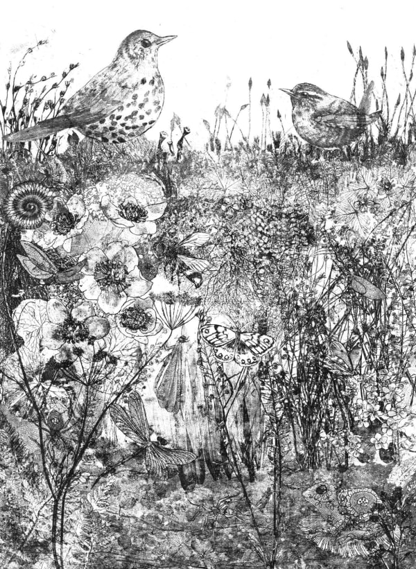 Sheila Roberts - Spring Watch, 2024