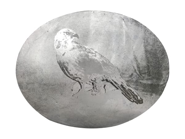 Jessica Harrison RSA, CAPERCAILLIE Cock Male Black Forest Game Bird Hunting Taxidermy, 2019