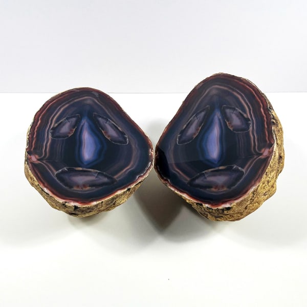 My Life in the bush in the hole in the ground