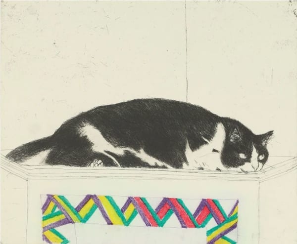 Elizabeth Blackadder RSA Fred on the Corner Cupboard, 2003 Etching and aquatint 30 x 35.5 cm (plate) 50 x 54 cm (support) Edition of 80 plus 1 artist's proof