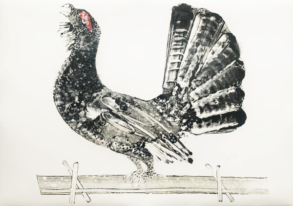 Stuart MacKenzie RSA Species Morphology: Capercaillie III, 2021 Oil on paper Framed: 82 x 116 cm