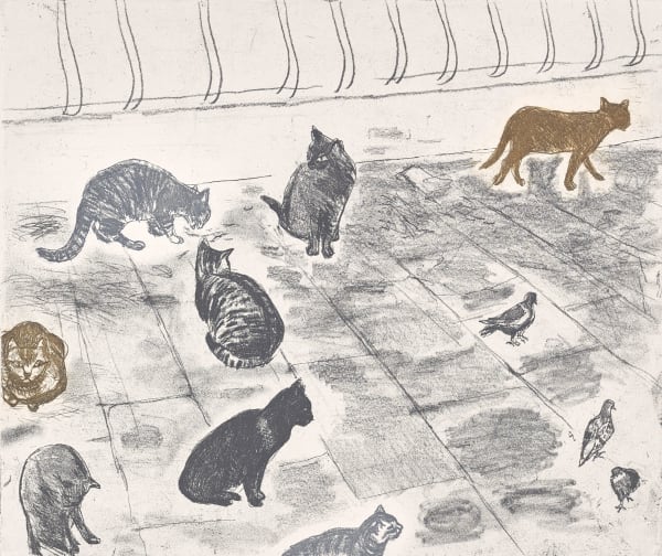 Elizabeth Blackadder RSA Venice Cats, 2003 Etching and aquatint Image: 30.5 x 50.5 cm Paper: 47 x 72 cm Edition of 80 plus 4 artist's proofs