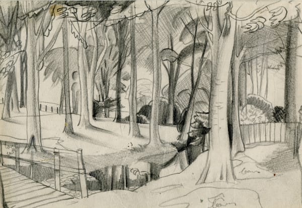 William Gillies RSA Trees on the Letham Burn, Haddington, c. 1926-27 pencil on paper 17.5 x 25.4cm