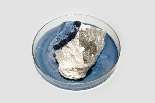 Anne Bevan RSA (Elect) + Mark Edmonds all manner of singular forms (Erratic 6), 2024 Cast plaster with ink and watercolour in glass dish Approx. 20 x 12 cm
