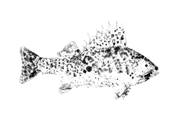 Artists | RSA Annual Online