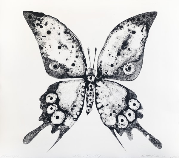Stuart MacKenzie RSA Species Morphology: Butterfly 4, 2021 Oil on paper 30 x 35 cm