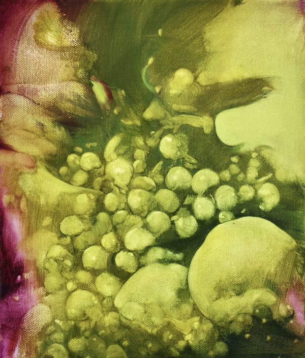 Lily Macrae Basket of Fruit Oil on linen 30 x 35 cm