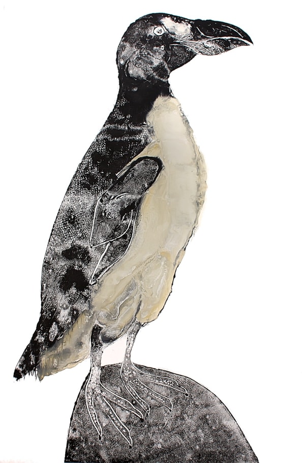 Stuart MacKenzie RSA Great Auk Oil on paper 106 x 84 cm