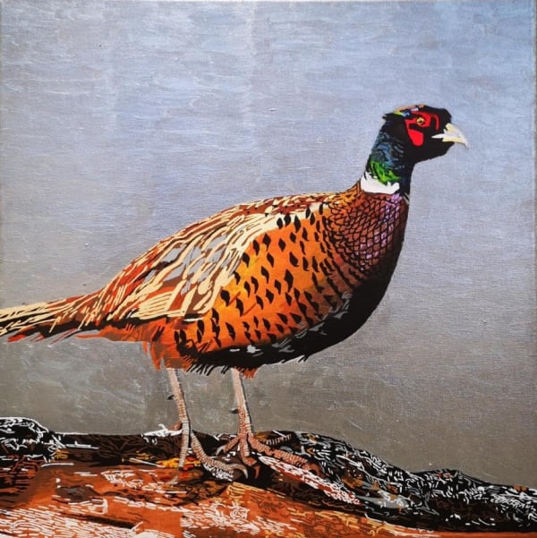 Stuart Robertson, Pheasant, 2024