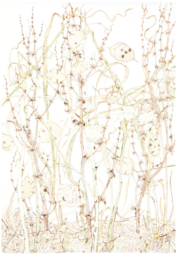 Jane Hyslop RSA (Elect), January Collection I, Midlothian, 2021