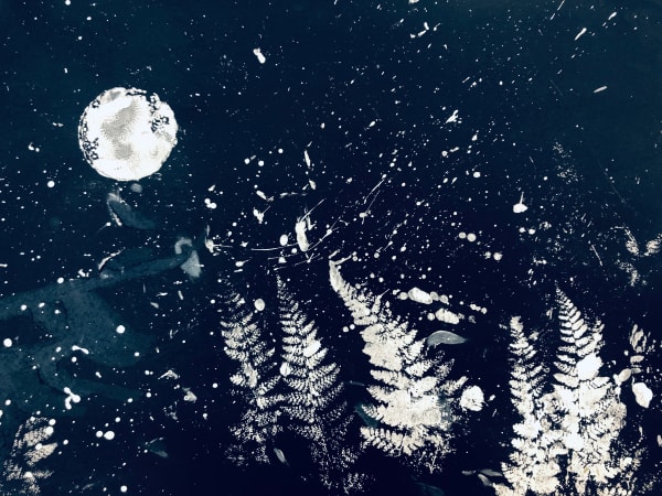 Aiden Hodgeson East Park