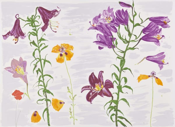 Elizabeth Blackadder RSA Lilies and Poppies, 2003 Screenprint 63.5 x 92.5 cm Edition of 45 plus 1 artist's proof