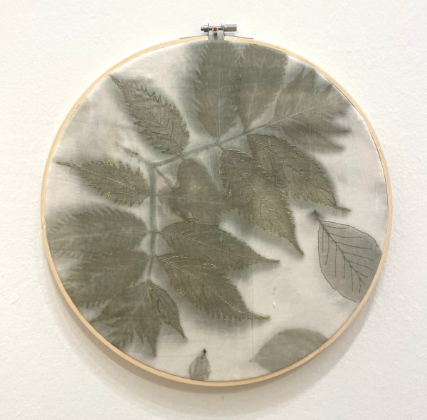 Eva Margaret Brown V. Metaphor IX Natural dyes on silk in embroidery hoop 31 cm