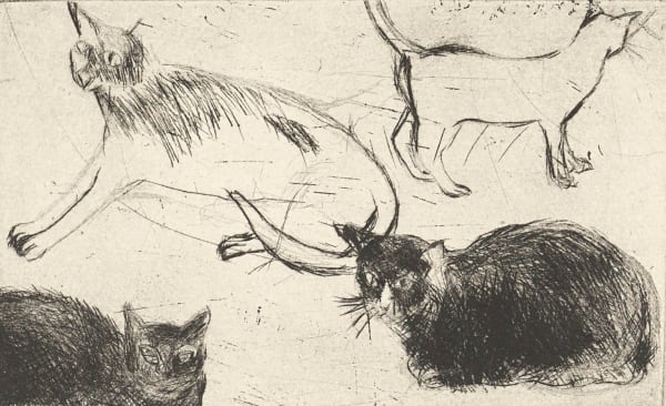 Elizabeth Blackadder RSA Venice Cats II, 2013 Etching Image size: 3.5 x 8.5 cm Paper size: 34 x 37 cm Edition of 40 plus 1 artist's proof