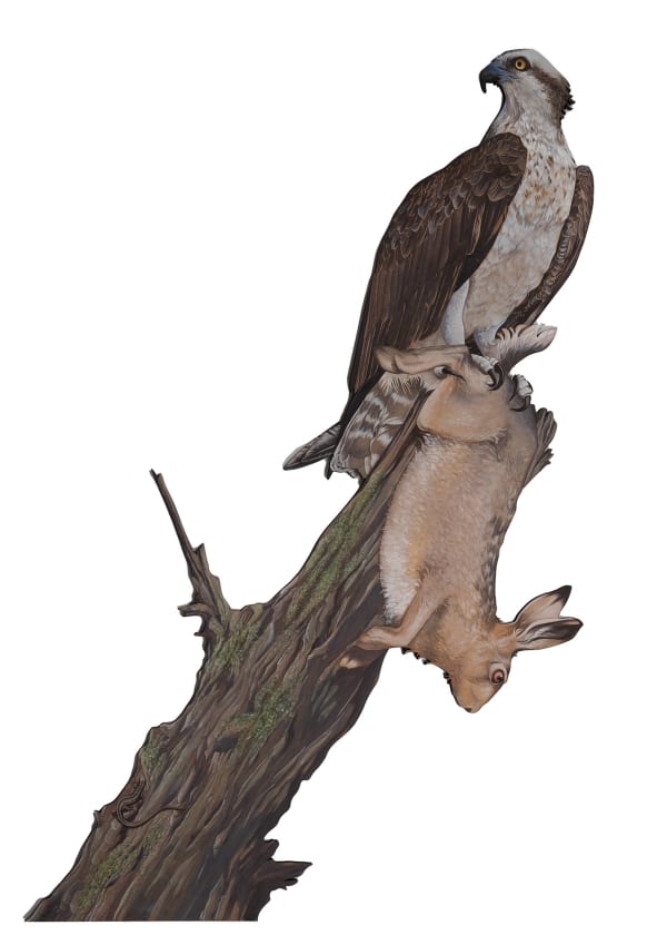 Fionnlagh Skinner Osprey and Hare, 2023 Gouache on MDF 121.5 x 72.5 cm