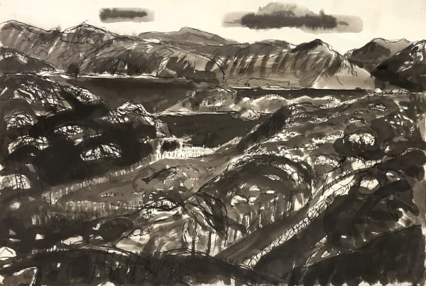 Paul Furneaux RSA Lewis: small farm looking towards Cairisadar