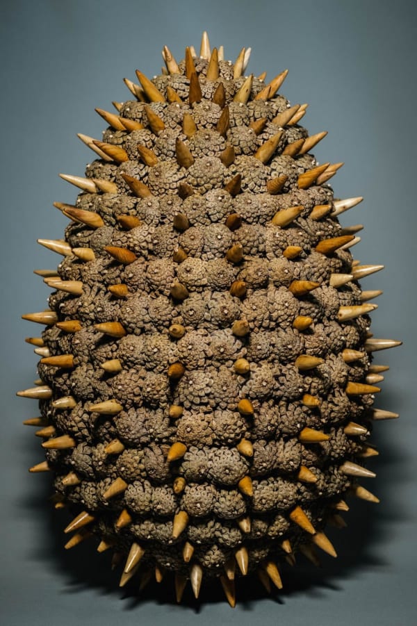 Leon Patchett EGG I, 2022 Wood and pines cones 65 x 30 x 30 cm