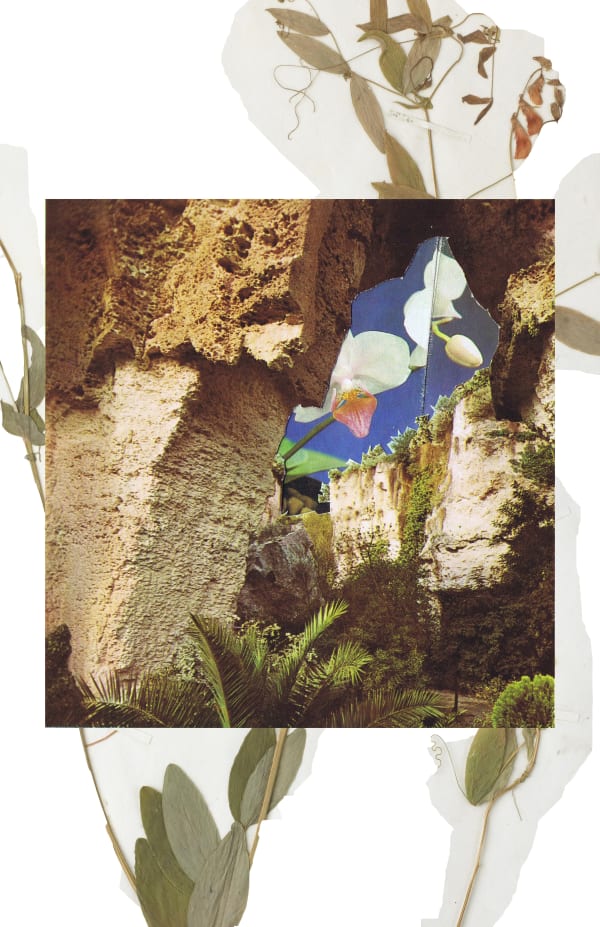 Natasha Faye Jensen, Gazing the Hothouse 1