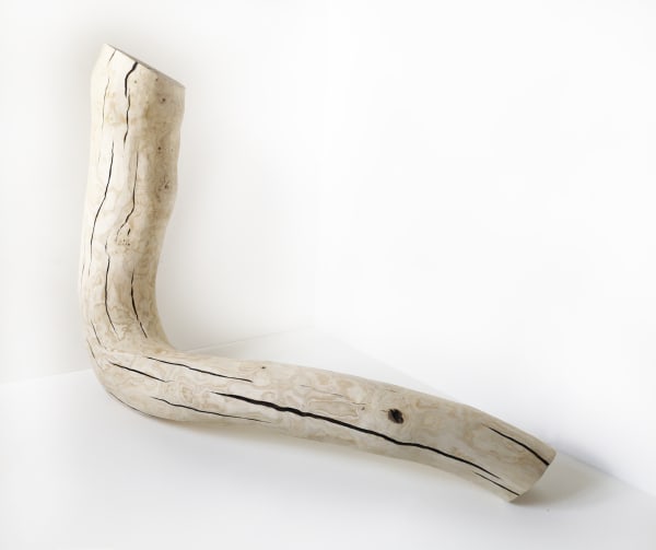 Richard Goldsworthy Arc, 2020 Part charred ash 100 x 140 x 30 cm