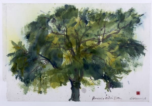Kate Downie RSA Summer Wych Elm (Portobello) , 2020 Watercolour on Xuan paper on Arches Image size: 51 x 80 cm Framed size: 68 x 90 cm