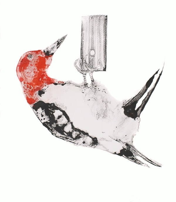 Stuart MacKenzie RSA, Red Head Woodpecker I