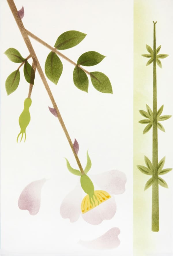 Jane Hyslop RSA XIII The Oak Tree: a tribute to eternity, June 2020, 2023 Pochoir 33 x 22.5 cm Edition of 6