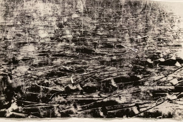 Jacki Parry RSA Legacy Series 1: After the Storm, 2006/07 Photo etching on handmade paper with inclusions 38 x 59 cm