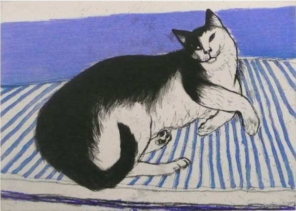 Elizabeth Blackadder RSA Toby, 2011 Etching 55 x 48 cm Edition of 50 plus 2 artist's proofs