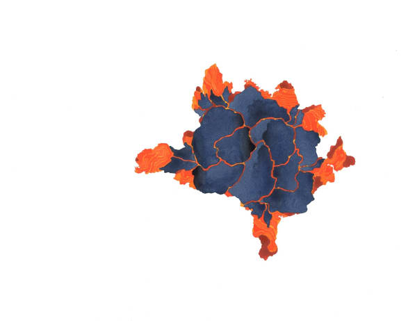 Ilana Halperin RSA, Eldfell Lava Bombs (collected while still glowing), 7