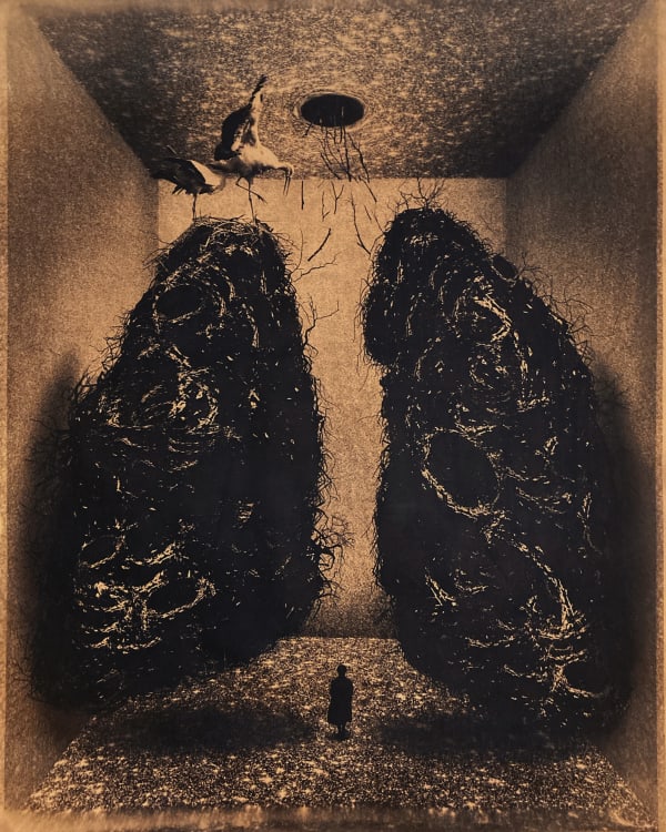 Sara Alonso Your Sigh Migrated to the North - Print, 2020 Toned cyanotype print on Arches paper 130 x 110 cm Variable edition of 6