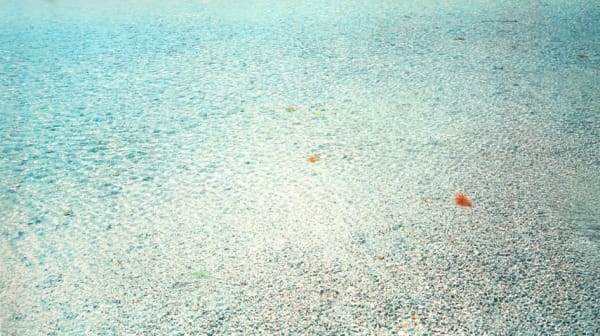 John Mackechnie RSA, Lon Liath