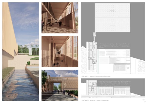 Ramsay Taylor Growing for the future 6/9 Print on Kappa 846 x 594 cm