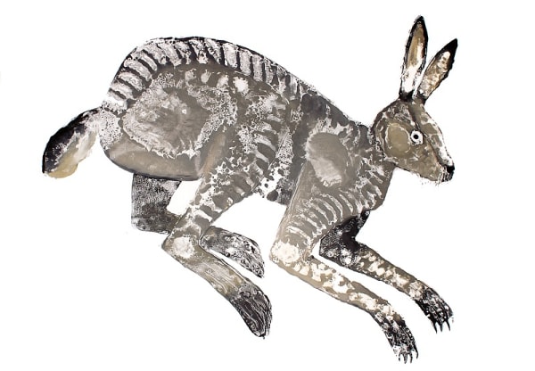 Hare II