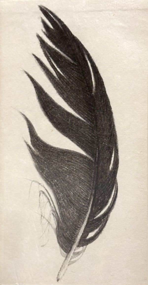 Eileen Lawrence RSA Leaf Nest, 1999 Watercolour on paper and Japanese papers 220 x 8 cm