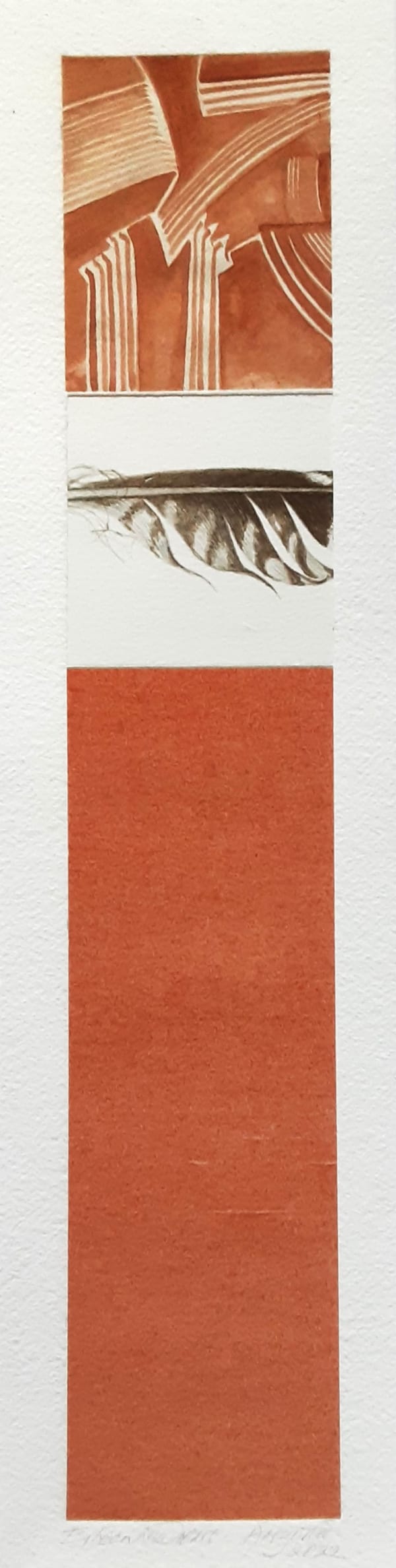 Eileen Lawrence RSA, Arizona