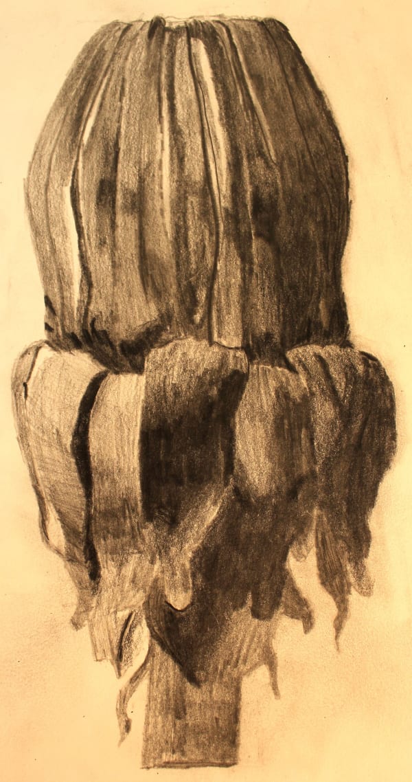 Baraa Droubi Junior West Jordanhill Secondary School