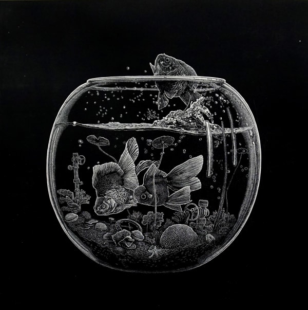 Ade Adesina RSA, The Great Escape, 2016