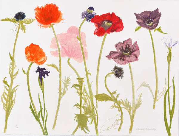 Oriental Poppies
