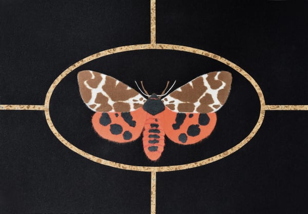 Marion Smith RSA Garden Tiger, 2022 Moriki Kozo and marbled paper on Arches Velin paper Frame: 42 x 59 cm